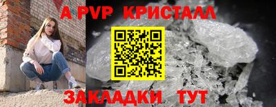 дживик Кандалакша